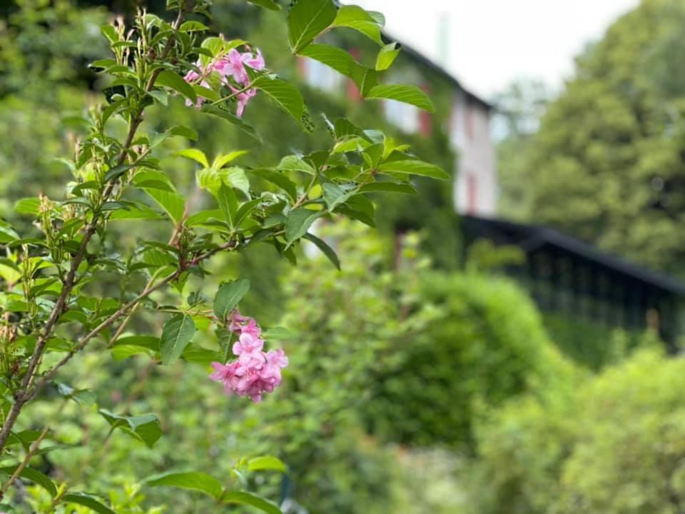 Les Grillons Du Morvan Montsauche-les-Settons Esterno foto